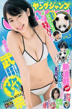 迭代的意思