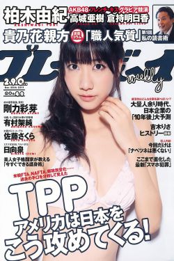 大秦帝国之纵横电视剧免费观看